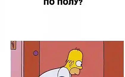 Гомер Симпсон разрушитель мифов