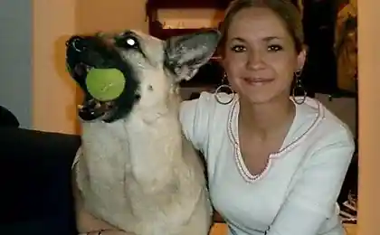 Что было и что стало