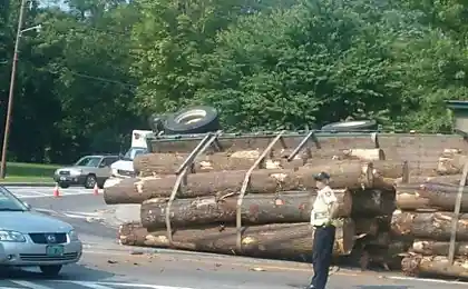 Водитель лесовоза не справился с управлением