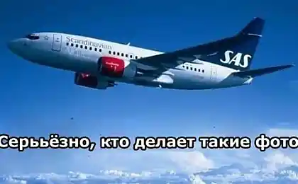 Загадка разгадана...
