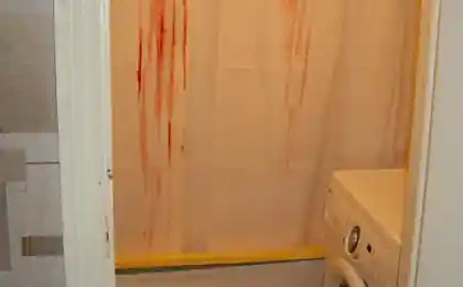 Ванна в стиле Хичкока