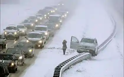 Милый, я припарковалась!