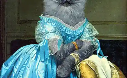 Богемные Коты на четверг