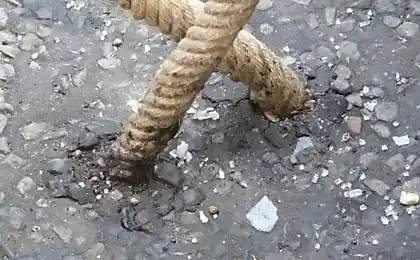 仍然是随意停放？