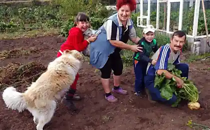 Вони не гонни роблять його.