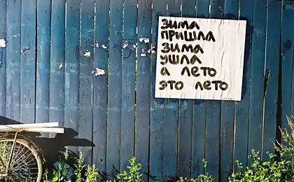Что говорит город
