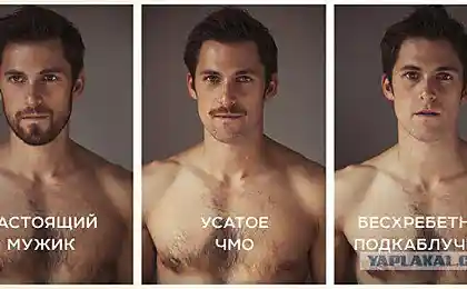 Про усы