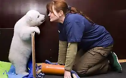 Флоке, она же Снежинка