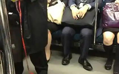 Любимца выгуливает