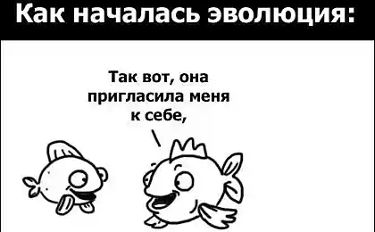 Инетерсный вариант, имеющий право на жизнь )))