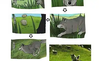 А вы о чем подумали?
