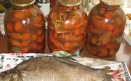 Консервация на зиму