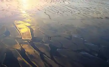 Дорыбачились