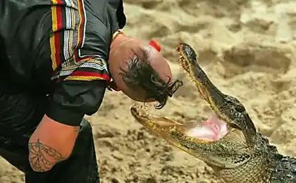 Танцююча з Crocodiles (12 фото)