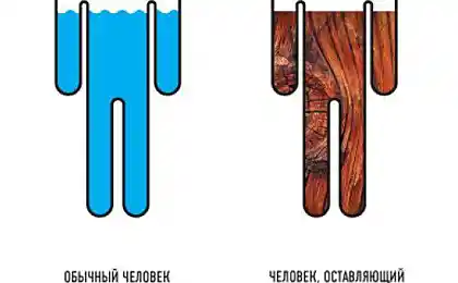 Ученые точно выяснили состав человека!