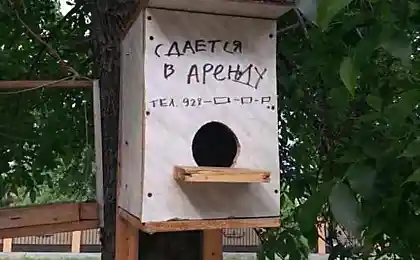 Сдается в аренду