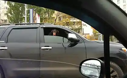 За рулем... неопытный водитель