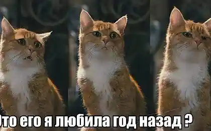 Куда глаза смотрели?