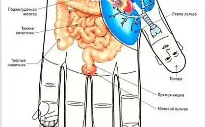 El dolor de cabeza, la tensión, la ansiedad y el estrés – masaje de los dedos