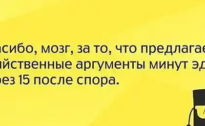 Спасибо, мозг, за то, что предлагаешь убийственные аргументы минут эдак через 15 после спора