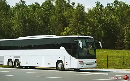Автобус для тура: типичные ошибки при заказе