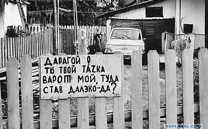 Коротко - и по существу!
