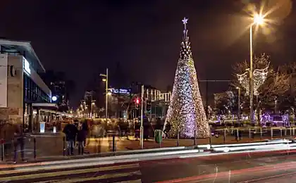 Благотворительная рождественская ель в Будапеште