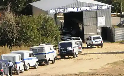 А ну все в очередь!
