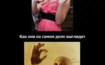 Правда она суровая XD