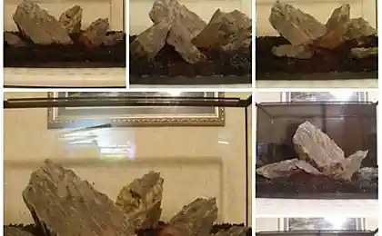 Запобігання брелоку 72 литра