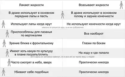 Человек: хищник или травоядное?