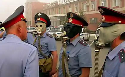 Формалин подался в милицию?
