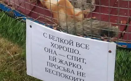 18 оголошень, які неможливо пройти