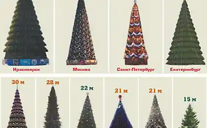 Елочная фаллометрия