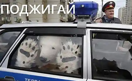 Все готово - поджигай!