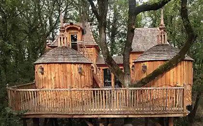 Шато  «Hautefort Treehouse»