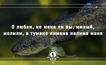 11 скороговорок про животных