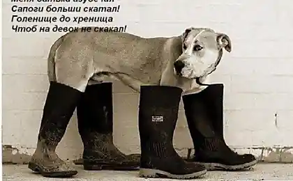 Частушки