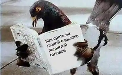 У каждого своя инструкция