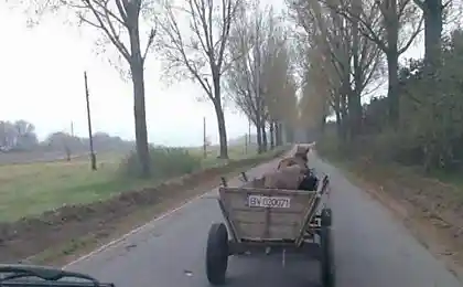Самый надёжный автопилот в Польше (2 фото)