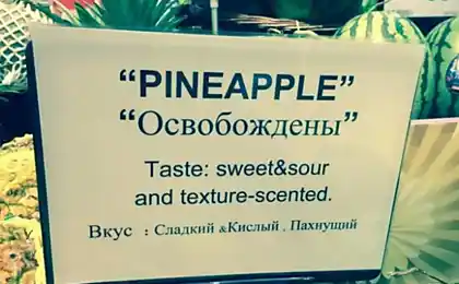 20 Витрат перекладачів