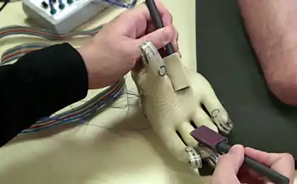 Created a prosthesis that returns patients the feeling of