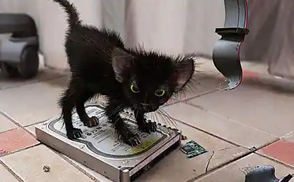 Клевая пикча!!!!!