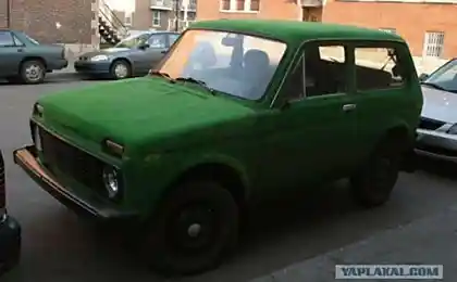 Що таке ... м'який Niva!