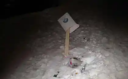 Люки.. зима.. Питер..