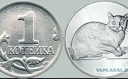Сколько с меня?