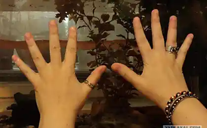 Умножение на 9