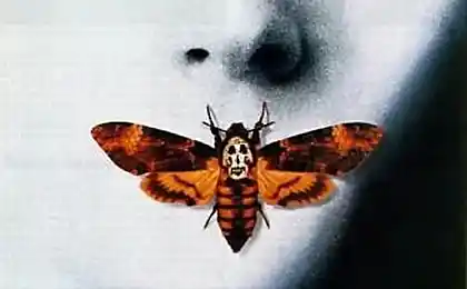 Violent films in cinema history