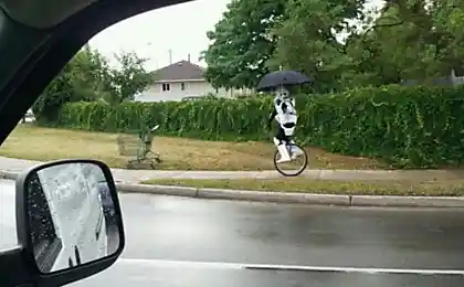 Внезапно на улице!