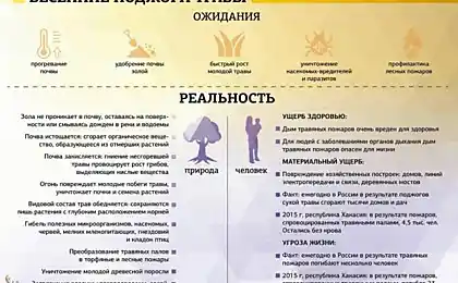 Spring Falls of Grass: Tradition Провідний до Трагедії